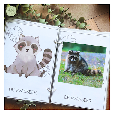 Lesmateriaal Kijkboekje Wilde dieren  van auteur MiaenCo slide 3