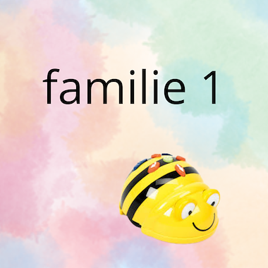 Lesmateriaal AN - mijn familie (deel 1) - spel 1: bbot van auteur Peggy Van Rompaey