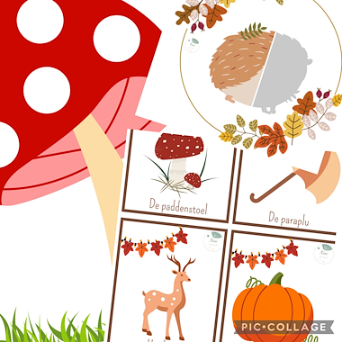 Lesmateriaal Het herfstbos van auteur Nini slide 2