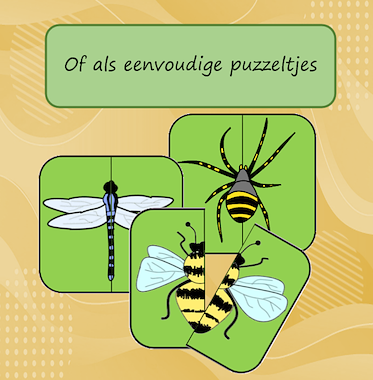 Lesmateriaal Puzzelmemory kriebeldiertjes van auteur Jabbedabbedoe slide 4