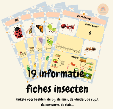 Lesmateriaal Informatie fiches insecten van auteur Kleuterjuf Amber