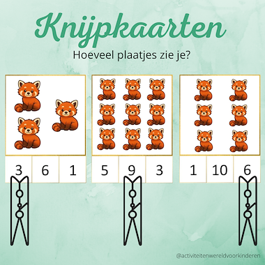 Lesmateriaal Beloofd is beloofd, kleine panda's - knijpkaarten tellen 1-1 van auteur Nanny Melissa