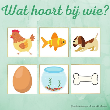 Lesmateriaal Dieren - wat hoort bij elk dier? van auteur Nanny Melissa