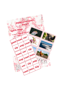 Lesmateriaal VLL - kern 1 - bingo van auteur Peggy Van Rompaey