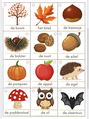 Lesmateriaal Woordkaarten herfst van auteur Juf Yas slide 2