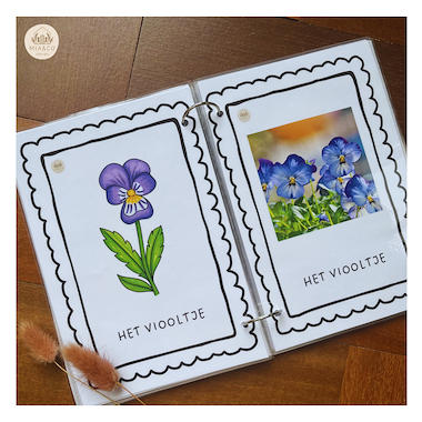 Lesmateriaal Kijkboekje verschillende bloemen  van auteur MiaenCo slide 3