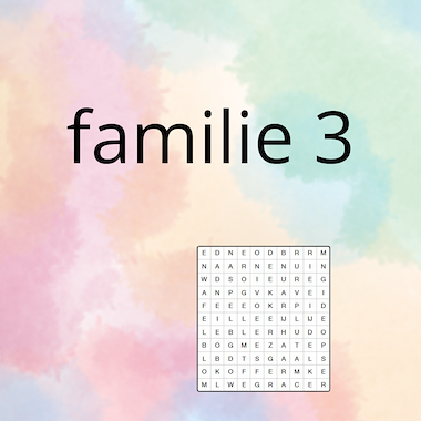 Lesmateriaal AN - mijn familie (deel 3) - spel 4: woordzoeker van auteur Peggy Van Rompaey