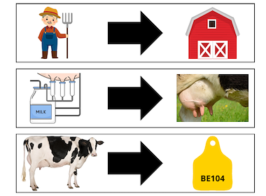 Lesmateriaal True van auteur KLEUTERJUF NINA