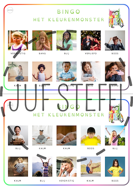 Lesmateriaal bingo - het Kleurenmonster van auteur Juf Steffi slide 2