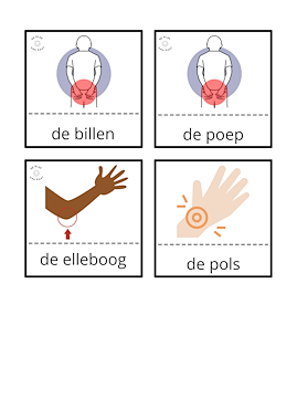 Lesmateriaal Woordenschatsfiches thema het lichaam (+ beeldmateriaal) van auteur deklasvankaat slide 3