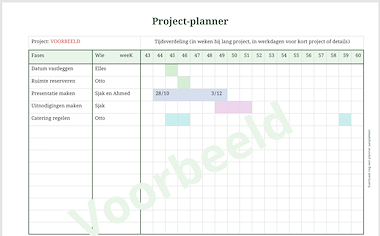 Lesmateriaal Project-planner overzicht in je organisatie - cactus van auteur Lessen en Illustraties Elles slide 2