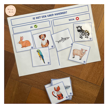 Lesmateriaal Is het een goed huisdier?  van auteur MiaenCo slide 2