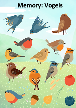 Lesmateriaal Memory vogels van auteur Little Play Friends