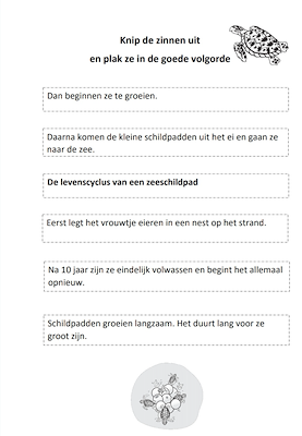 Lesmateriaal werkblad levenscyclus zeeschildpad van auteur juf tallie
