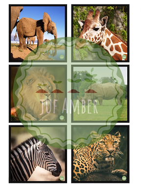 Lesmateriaal Memory - safari van auteur juf_Amber slide 2