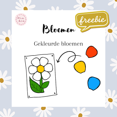 Lesmateriaal Gekleurde bloemen  van auteur MiaenCo