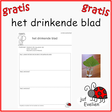 Lesmateriaal het drinkende blad van auteur juf Evelien