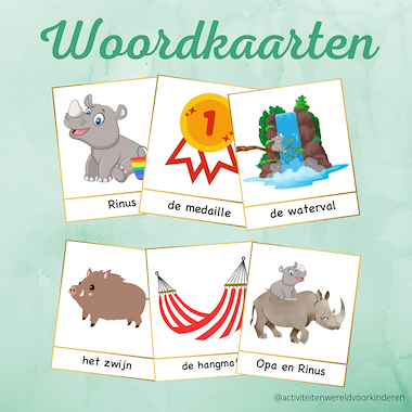 Lesmateriaal Rinus - woordkaarten van auteur Nanny Melissa