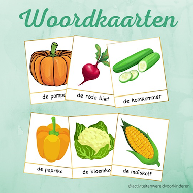 Lesmateriaal Mijn eigen moestuin - woordkaarten van auteur Nanny Melissa