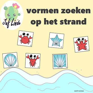 Lesmateriaal vormen zoeken op het strand van auteur juf Linde