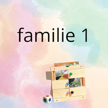 Lesmateriaal AN - mijn familie (deel 1) - spel 10: raad het plaatje van auteur Peggy Van Rompaey