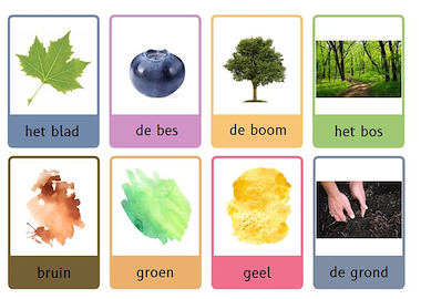 Lesmateriaal Woordkaarten groep 1 t/m 3  van auteur Onderwijsassistent Dianne