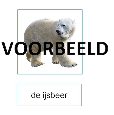 Lesmateriaal Pooldieren pakket van auteur juf tallie