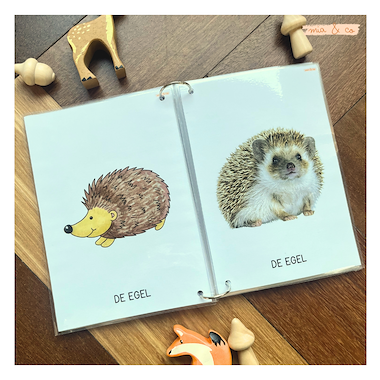 Lesmateriaal Kijkboekje - Herfst  van auteur MiaenCo slide 3