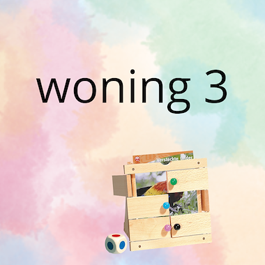 Lesmateriaal AN - mijn woning (deel 3) - spel 10: raad het plaatje van auteur Peggy Van Rompaey