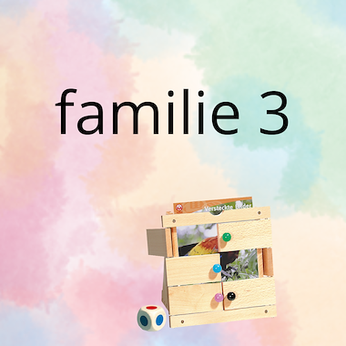 Lesmateriaal AN - mijn familie (deel 3) - spel 10: raad het plaatje van auteur Peggy Van Rompaey