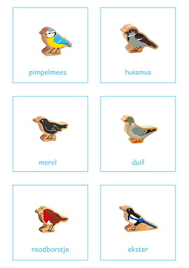 Lesmateriaal Vogels voeren - tellen  van auteur SB Speelplezier