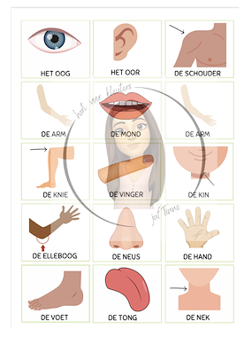 Lesmateriaal THEMA LICHAAM Bingo  van auteur juf Tinne slide 3