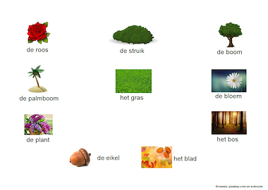 Lesmateriaal ATN - onthoudposter planten van auteur Meester Warre
