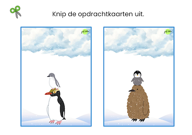 Lesmateriaal Pinguïn kuiken-match van auteur Juf Nika slide 2