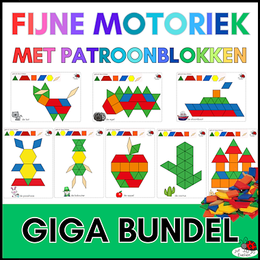 Lesmateriaal giga bundel patroonblokken meer dan 180 opdrachtkaarten van auteur juf Evelien