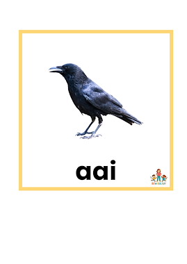 Lesmateriaal Bewegend leren met aai, ooi, oei woorden van auteur de beweegjuf