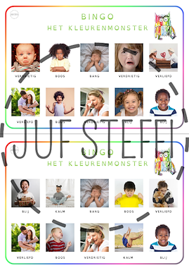 Lesmateriaal bingo - het Kleurenmonster van auteur Juf Steffi