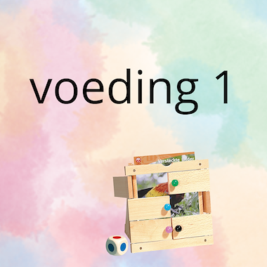 Lesmateriaal False uit de collectie an-anderstalige-nieuwkomers van onderwijs lesmaterialen van auteur peggy van rompaey