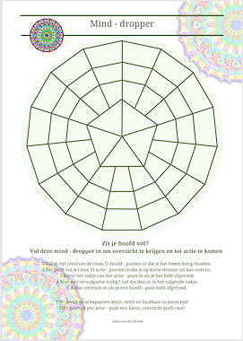 Lesmateriaal Mind-dropper - overzicht in je organisatie - mandala van auteur Lessen en Illustraties Elles slide 1
