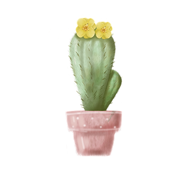 Lesmateriaal Lerarenplanner lerarenagenda cactus aug 2025 - jan 2027 van auteur Lessen en Illustraties Elles slide 2
