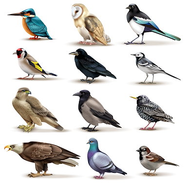 Lesmateriaal Kaspers' vogelspotboek van auteur Gratis leuke leesboekjes slide 1