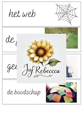Lesmateriaal Woordenschat kaarten van auteur Juf Rebecca slide 4
