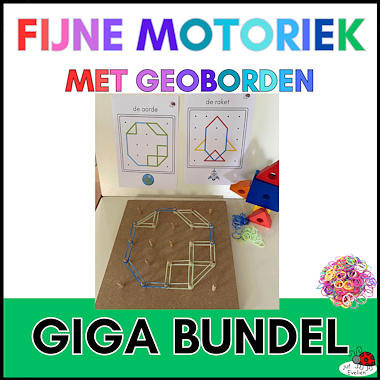 Lesmateriaal giga bundel geoborden meer dan 100 pagina's van auteur juf Evelien slide 2