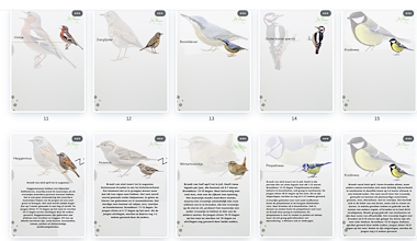 Lesmateriaal Natuur: Tuinvogels Nest bouwen  van auteur Juffie Sharon slide 3