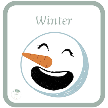 Lesmateriaal Winter van auteur Nini