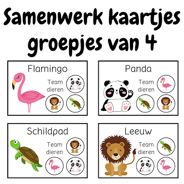 Lesmateriaal Samenwerkkaartjes | Samenwerken in groepjes van vier  van auteur My Teacher Shares