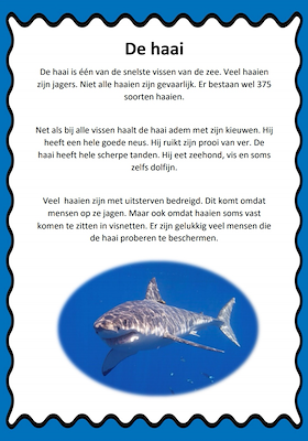 Lesmateriaal leestekst haai van auteur juf tallie