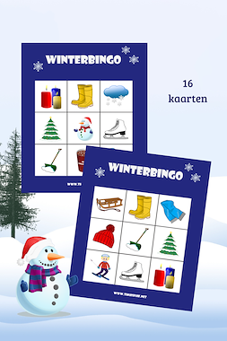 Lesmateriaal Winterbingo van auteur Thuisfuif