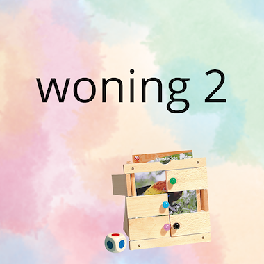 Lesmateriaal AN - mijn woning (deel 2) - spel 10: raad het plaatje van auteur Peggy Van Rompaey
