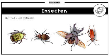 Collectie insecten van onderwijs lesmaterialen van auteur juf shanna